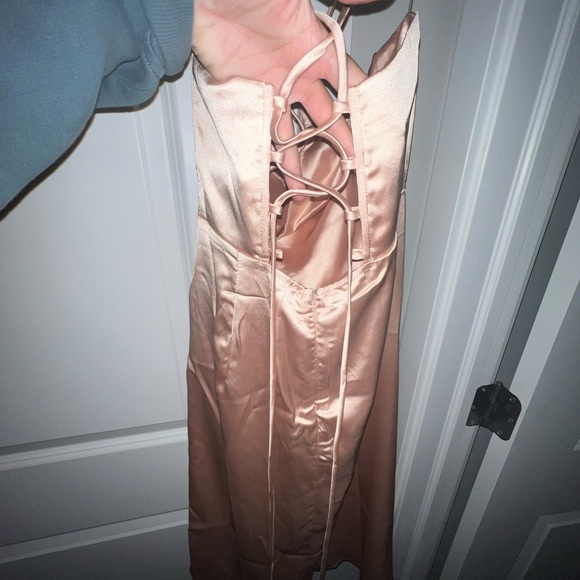 Never worn silk nude dress - Picture 3 of 7